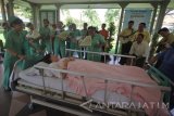 Sejumlah perawat menghibur pasien dengan bernyanyi di Rumah Sakit St. Vincentius a Paulo Roomsch Katholiek Ziekenhuis (RKZ) Surabaya, Jawa Timur, Sabtu (13/5). Kegiatan tersebut dalam rangka memeriahkan Hari Perawat Internasional yang diperingati setiap 12 Mei sekaligus memberikan semangat kepada pasien agar cepat sembuh. Antara Jatim/Moch Asim/zk/17