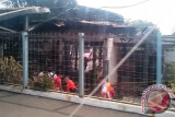 Terbakarnya Stasiun Klender dan Drama Pengguna KRL Bekasi 
