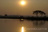 Warga memancing di tambak ikan bandeng, Gresik, Jawa Timur, Minggu (21/5). Sejumlah tambak bandeng berisi aneka ikan budidaya disewakan untuk para penghobi memancing dengan biaya mulai Rp30 ribu hingga Rp90 ribu dengana durasi mulai pukul 02.00 WIB hingga 16.00 WIB, khusus pada Sabtu-Minggu atau hari libur tertentu Antara Jatim/Destyan Sujarwoko/zk/17