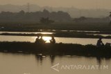 Warga memancing di tambak ikan bandeng, Gresik, Jawa Timur, Minggu (21/5). Sejumlah tambak bandeng berisi aneka ikan budidaya disewakan untuk para penghobi memancing dengan biaya mulai Rp30 ribu hingga Rp90 ribu dengana durasi mulai pukul 02.00 WIB hingga 16.00 WIB, khusus pada Sabtu-Minggu atau hari libur tertentu Antara Jatim/Destyan Sujarwoko/zk/17