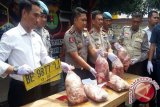 Polisi gagalkan pengiriman dua ton daging celeng