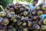 Pedagang menata buah siwalan yang akan diambil airnya sebagai minuman legen di Desa Ngasem, Kediri, Jawa Timur, Selasa (23/5). Menjelang Ramadan pasokan buah siwalan yang didatangkan dari daerah Tuban tersebut ditambah hingga dua kali lipat dibanding hari biasa yakni sebanyak dua ribu buah dalam sekali pengiriman. Antara jatim/Prasetia Fauzani/zk/17