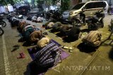 Sejumlah santri melakukan salat tarawih pertama di halaman masjid lama pondok pesantren (ponpes) Lirboyo, Kota Kediri, Jawa Timur, Jumat (26/5) malam. Salah satu ponpes terbesar se-Jawa Timur tersebut mulai menyelenggarakan salat tarawih yang diikuti oleh ribuan santri. Antara Jatim/Prasetia Fauzani/zk/17