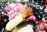 Seorang warga membawa sekarung Bawang Putih yang dibelinya saat gelar pasar murah di Pasar Flamboyan, Pontianak, Kalbar, Selasa (30/5). Guna menstabilkan harga Bawang Putih yang telah mencapai Rp100 Ribu per kilogram, Kementerian Perdagangan bersama Kementerian Pertanian dan Pemerintah Kota Pontianak mendistribusikan 60-100 Ton Bawang Putih yang dijual ke masyarakat seharga Rp30 Ribu per kilogram. ANTARA FOTO/Jessica Helena Wuysang/17
