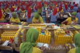 Ratusan pekerja melakukan aktivitas produksi rokok sigaret kretek linting tangan di salah satu industri rokok di Tulungagung, Jawa Timur, Rabu (31/5). Minimnya tenaga terampil terlatih serta menurunnya minat warga sekitar bekerja di sektor industri rokok membuat sejumlah industri rokok sigaret linting tangan (SKT) kesulitan tenaga kerja dan hanya mengandalkan rombongan buruh linting di pabrik rokok besar seperti dari PT Gudang garam, Tbk. Antara Jatim/Destyan Sujarwoko/zk/17