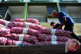 Sejumlah pekerja mengangkat karung berisi Bawang Putih yang dijual saat pasar murah di Pasar Flamboyan, Pontianak, Kalbar, Selasa (6/6). Guna menstabilkan harga Bawang Putih yang masih berkisar Rp60 ribu per kilogram, Kementerian Perdagangan bersama Pemerintah Kota Pontianak kembali mendistribusikan 60 ton Bawang Putih yang dijual ke masyarakat seharga Rp25 ribu per kilogram dan Rp480 ribu per karung. ANTARA FOTO/Jessica Helena Wuysang//17