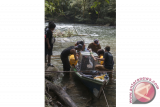 Sejumlah relawan dari International Animal Rescue (IAR) Ketapang membawa kandang berisi satu dari dua individu Orangutan (pongo pygmaeus) yang hendak dilepasliarkan di hutan Taman Nasional Bukit Baka Bukit Raya (TNBBBR), Kabupaten Melawi, Kalbar, Jumat (9/6). IAR Indonesia bersama Balai Taman Nasional Bukit Baka Bukit Raya (TNBBBR) dan Balai Konservasi dan Sumber Daya Alam (BKSDA) Kalbar melepasliarkan dua individu orangutan (Pongo Pygmaeus) yaitu Amin dan Shila yang telah menjalani rehabilitasi di Pusat Penyelamatan dan Rehabilitasi IAR Indonesia untuk mengembalikan sifat alami orangutan. ANTARA FOTO/Humas IAR Indonesia-Rudiansyah/jhw/17