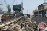 Bad Weather Keeps Ships From Leaving Kupang to Carry Live Cows 