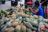 Seorang pedagang mengupas buah Nenas di lapak dagangannya di Pasar Flamboyan, Pontianak, Kalbar, Senin (12/6). Buah Nenas yang dipasok dari kawasan pertanian di Rasau Jaya, Kabupaten Kubu Raya, Kalbar tersebut, dijual seharga Rp5 ribu per buah. ANTARA FOTO/Jessica Helena Wuysang/17

