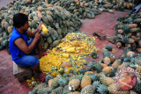 Seorang pedagang mengupas buah Nenas di lapak dagangannya di Pasar Flamboyan, Pontianak, Kalbar, Senin (12/6). Buah Nenas yang dipasok dari kawasan pertanian di Rasau Jaya, Kabupaten Kubu Raya, Kalbar tersebut, dijual seharga Rp5 ribu per buah. ANTARA FOTO/Jessica Helena Wuysang/17

