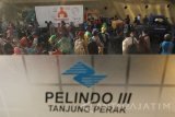 Sejumlah penumpang turun dari KM Labobar yang bertolak dari pelabuhan Balikpapan saat tiba di Pelabuhan Tanjung Perak, Surabaya, Jawa Timur, Minggu (18/6). Berdasarkan data dari Pelindo III sejak H-8 jumlah pemudik tercatat sebanyak 28.621 orang yang terdiri dari 19.465 penumpang turun, 4.325 penumpang naik dan 4.831 penumpang lanjutan. Antara Jatim/Moch Asim/zk/17