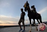 TNI Berupaya Majukan Olahraga Berkuda Di Sulteng 