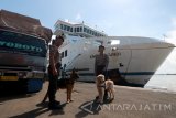 Polisi dengan menggunakan anjing pelacak berjaga di Dermaga Jamrud Utara, Pelabuhan Tanjung Perak, Surabaya, Jawa Timur, Jumat (23/6). Kegiatan tersebut bertujuan untuk melakukan pengamanan kawasan pelabuhan terutama saat arus mudik Lebaran. Antara Jatim/Didik Suhartono/zk/17