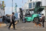 Polisi dengan menggunakan anjing pelacak berjaga di Dermaga Jamrud Utara, Pelabuhan Tanjung Perak, Surabaya, Jawa Timur, Jumat (23/6). Kegiatan tersebut bertujuan untuk melakukan pengamanan kawasan pelabuhan terutama saat arus mudik Lebaran. Antara Jatim/Didik Suhartono/zk/17