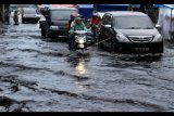 Warga menerobos banjir yang mengenangi jalan utama pusat Kota Lhokseumawe, Aceh, Kamis (6/7). Banjir yang merendam pusat kota itu disebabkan buruknya drainase sehingga tidak mampu menampung air akibat tingginya curah hujan. ANTARA FOTO/Rahmad/pras/17.