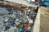 Mitra Bentala Prihatin Sampah Pantai Pesawaran Menumpuk 