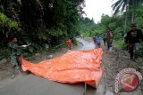 Sejumlah prajurit TNI menutup jalan rabat beton yang masih basah menggunakan terpal di Desa Tulabolo, Kabupaten Bone Bolango, Gorontalo, belum lama ini. Melalui program TNI Manunggal Membangun Desa, masyarakat bersama TNI membuat jalan rabat beton untuk mendukung pembangunan infrastruktur perdesaan. (ANTARA FOTO/Adiwinata Solihin)