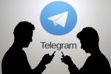 Imbas konten-konten judi online, Kemenkominfo layangkan surat ke Telegram