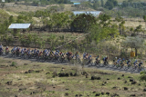 Sejumlah pebalap melintasi bukit pada Etape 4 Balap Sepeda Tour de Flores (TDF) 2017 di Mbay, NTT, Senin (17/7). Etape 4 balap sepeda TDF 2017 diikuti 67 pebalap dengan menempuh rute Mbay-Borong yang jaraknya 170,9 Km. ANTARA FOTO/Nyoman Budhiana/foc/17.