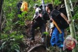 Relawan bersihkan jerat harimau di hutan seluma