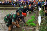 Sejumlah Forum Pimpinan Daerah bersama anak-anak menanam padi bersama saat Pagelaran Makarya Tani di Songgon Banyuwangi, Jawa Timur, Kamis (27/7). Kegiatan menanam padi lintas generasi tersebut, bertujuan untuk mengenalkan pertanian kepada kaum muda guna menjaga ketahanan pangan dimasa mendatang. Antara Jatim/Budi Candra Setya/zk/17.