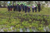 Sejumlah siswa Sekolah Dasar belajar mengenal mangrove saat kegiatan Eco Outbond Sahabat Mangrove di Arboretum mangrove Karangsong, Indramayu, Jawa Barat, Sabtu (29/7). Kegiatan yang digelar Pertamina RU VI Balongan itu bertujuan untuk mengenalkan sekaligus upaya pelestarian lingkungan dan pendidikan tentang mangrove bagi generasi muda untuk lebih mencintai lingkungan. ANTARA FOTO/Dedhez Anggara/pras/17.