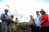 Gubernur Kalbar Cornelis (kedua kiri), Ketua Dewan Pertimbangan Pengendalian Perubahan Iklim Kementerian Lingkungan Hidup dan Kehutanan (KLHK) Sarwono Kusumaatmadja (kiri), Staf Ahli Menteri Bidang Ekonomi Sumber Daya Alam KLHK Agus Justianto (kedua kanan), Penasehat Independen Yayasan Belantara Tachrir Fathoni (ketiga kanan), Bupati Landak Karolin Margret Natasa (ketiga kiri), dan Ketua Tim Penggerak PKK Kalbar Frederika Cornelis (kiri) berpose saat penanaman di Desa Kasturi, Mandor, Kabupaten Landak, Kalimantan Barat, Senin (31/7). Kolaborasi multi pihak antara pemerintah, masyarakat, swasta dan LSM ini bertujuan untuk mengkampanyekan aksi nyata pencegahan perubahan iklim melalui penanaman pohon Kemiri Sunan untuk restorasi dan konservasi hutan serta pengembangan energi terbarukan di Kabupaten Landak, Kalimantan Barat. ANTARA FOTO/Jessica Helena Wuysang/kye/17