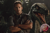 Aktor Chris Pratt dan Anna Faris putuskan berpisah