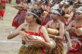 Festival Budaya Likurai