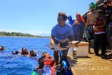 Seorang nelayan melepasliarkan ikan hiu di Bangsring Underwater, Banyuwangi, Jawa Timur, kamis (17/8). Pelepasliaran sepasang hiu yang bertepatan dengan HUT Ke-72 RI itu, diharapkan ikan yang masuk kategori dilindungi tersebut dapat merdeka hidup di laut lepas setelah sebelumnya mendapat perawatan akibat terkena jaring nelayan. Antara Jatim/Budi Candra Setya/17.