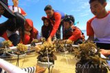 Seorang pembina kelompok konservasi nelayan memberikan edukasi tranplantasi terumbu karang kepada wisatawan di Pulau Tabuhan, Banyuwangi, Jawa Timur, Kamis (17/8). Kegiatan tersebut, sebagai upaya mengenalkan pentingnya terumbu karang untuk menjaga keragaman biota laut. Antara Jatim/Budi Candra Setya/zk/17.