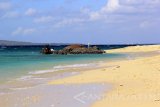 Bocah bermain di Pantai Pulau Tabuhan, Banyuwangi, Jawa Timur, Kamis (17/8). Pulau Tabuhan yang memiliki luas sekitar 5 hektar dan tidak berpenghuni itu menyimpan keindahan panorama pantai berpasir putih dan pegunungan dan hanya bisa ditempuh menggunakan kapal. Antara Jatim/Budi Candra Setya/zk/17.