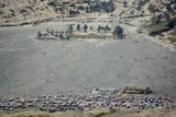 Wisatawan memadati kawasan pasir berbisik Gunung Bromo, Probolinggo, Jawa Timur, Sabtu (19/8). Ratusan wisatawan baik domestik atau pun mancanegara setiap harinya memadati kawasan Bromo untuk berwisata untuk melihat terbitnya matahari dan juga kawah Gunung Bromo. Antara Jatim/Umarul Faruq/zk/17