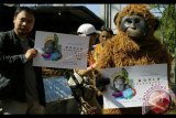 Aktivis dari Centre for Orangutan Protection (COP) mengadakan kampanye penyelamatan Orangutan pada kegiatan Hari Tanpa Kendaraan Bermotor di kawasan Dago Bandung, Jawa Barat, Minggu (20/8). Kampanye tersebut diselenggarakan dalam rangka peringatan Hari Orangutan Sedunia yang mengambil tema 