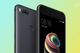 Xiaomi akan Luncurkan Smartphone Android One pertamanya?