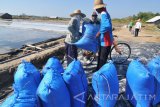 Buruh mengangkut karung berisi garam di Desa Bunder, Pamekasan, Jawa Timur, Rabu  (23/8). Pasca masuknya garam impor dua pekan lalu  menyebabkan harga garam Madura turun dari Rp3.5 juta per ton menjadi Rp1.7 juta per ton. Antara Jatim/Saiful Bahri/zk/17