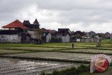 Seorang petani menyemproti hama pada tanaman padi di kawasan persawahan yang masih tersisa di Kota Denpasar, Rabu (23/8). Kota Denpasar saat ini memiliki lahan pertanian sekitar 4.500 hektare dengan produktifitas gabah kering mencapai 12 ton per hektare namun upaya peningkatannya terkendala alih fungsi lahan yang terus terjadi. Antara Bali/Nyoman Budhiana/nym/2017.