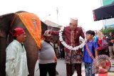 Gubernur Lampung M. Ridho Ficardo (dua kanan) foto bersama gajah-gajah jinak binaan Pusat Latihan Gajah (PLG) Way Kambas saat membuka Parade Budaya Lampung Culture and Carnival di Lapangan Saburai, Kota Bandarlampung, Provinsi Lampung, Sabtu (26/8/2017).