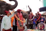 Gubernur Lampung M. Ridho Ficardo (dua kanan) foto bersama gajah-gajah jinak binaan Pusat Latihan gaah (PLG) Way Kambas, saat membuka Parade Budaya Lampung Culture and Carnival di Lapangan Saburai, Kota Bandarlampung, Provinsi Lampung, Sabtu (26/8/2017).