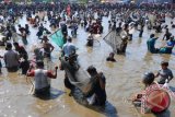 Warga mengikuti kegiatan menangkap ikan secara massal saat tradisi Memet Ikan di embung Gemblegan, Kalikotes, Klaten, Jawa Tengah, Minggu (27/8). Tradisi tersebut dilakukan untuk mendukung program gemar makan ikan untuk meningkatkan gizi bagi masyarakat. (FOTO ANTARA)