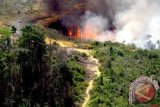 Lima titik panas di wilayah Manggarai Barat-Timur