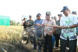 Banjarnegara Dorong Petani Terapkan Minapadi