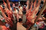 Pembeli memilih daging sapi pada hari pertama Meugang (meugang kecil) jelang Iedul Adha 1438 Hijriah di pasar tradisional Inpres Lhokseumawe, Aceh, Rabu (30/8). Meugang atau Makmeugang adalah tradisi di masyarakat Aceh untuk menyembelih kurban berupa kambing atau sapi dan dilaksanakan setahun tiga kali, yakni Ramadhan, Idul Adha, dan Idul Fitri. (ANTARA FOTO/Rahmad)
