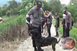 Anjing pelacak diperbantukan cari korban jiwa gempa Lombok
