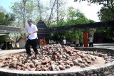 Seorang pengunjung menyeberang di api yang menyala di bebatuan lokasi objek wisata Kahyangan Api di Desa Sendangharjo, Kecamatan Ngasem, Bojonegoro, Jawa Timur, Rabu (30/8).  Lokasi api abadi itu yang lokasinya di kawasan Kesatuan Pemangkuan Hutan (KPH) Bojonegoro itu, diusulkan masuk cagar alam geologi. Antara Jatim/Slamet Agus Sudarmojo/zk/17