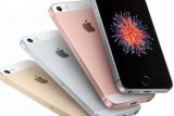 Apple akan luncurkan enam iPhone baru, dua diantaranya ponsel versi low-budget