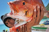 Lomba Masak Ikan Di INHU Dimenangkan Kecamatan Pasir Penyu