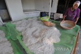Pekerja menyortir teri nasi dengan cara diayak di Desa Pegagan, Pamekasan, Jawa Timur, Jumat  (8/9). Ikan teri yang diekspor ke Jepang itu dijual ke pengepul dengan harga Rp105 ribu hingga Rp110 ribu per kg kering. Antara Jatim/Saiful Bahri/zk/17