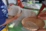 Pekerja menyortir teri nasi dengan cara diayak di Desa Pegagan, Pamekasan, Jawa Timur, Jumat  (8/9). Ikan teri yang diekspor ke Jepang itu dijual ke pengepul dengan harga Rp105 ribu hingga Rp110 ribu per kg kering. Antara Jatim/Saiful Bahri/zk/17