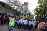 Sejumlah warga mengusung keranda jenazah berbentuk sapi dalam upacara Ngaben bagi jenazah Anak Agung Biang Raka Candra yaitu keluarga Kerajaan Puri Blahbatuh, di Gianyar, Bali, Sabtu (9/9). Ritual kremasi jenazah dalam skala besar tersebut dihadiri ribuan warga, wisatawan, kerabat/keluarga raja yang memberikan penghormatan terakhir. ANTARA FOTO/Wira Suryantala/wdy/2017.